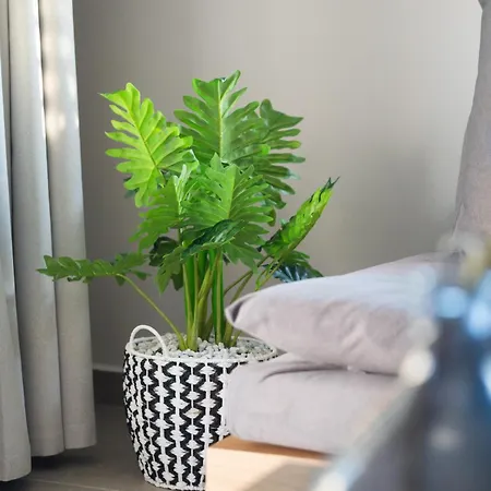 アパート A3stays A Cozy Vacation Retreat *